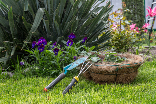 Como Cultivar Vegetais em Vasos: Dicas para um Jardim Comestível Produtivo