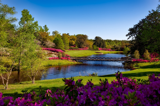 Segredos para um Jardim Florescente Durante Todo o Ano: Técnicas e Plantas Ideais