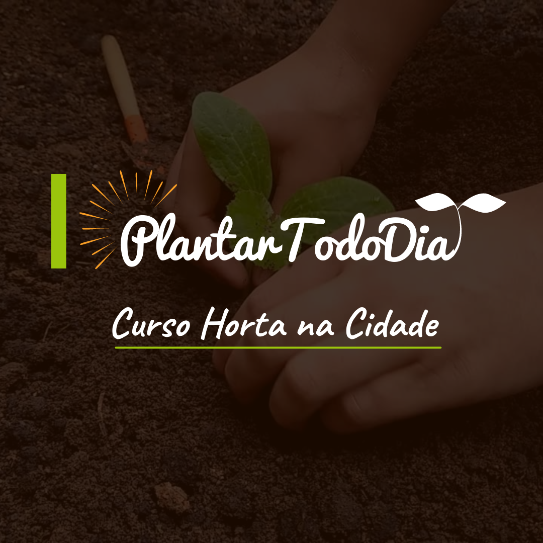 Como Cultivar Curso de Horta na Cidade – Plantar Todo Dia